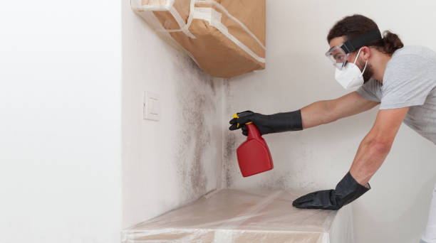 Professional Commercial Mold Remediation technician working in Grassflat, PA