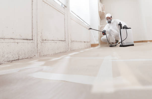 24/7 Emergency Commercial Mold Remediation experts in Grassflat, PA