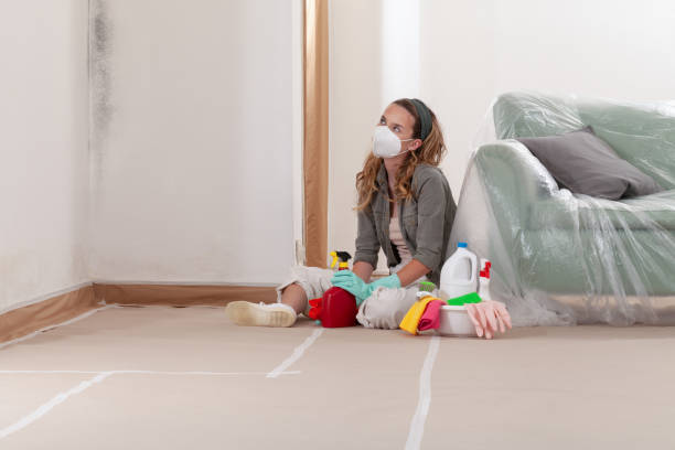 Reliable Commercial Mold Remediation contractor in Grassflat, PA by WQB Mold Removal